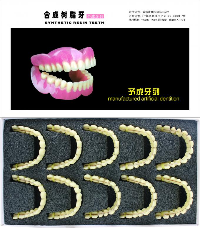 Denture Repair Dental Acrylic Resin Teeth Kit Artificial Synthetic Resin Dentition Polymer 0