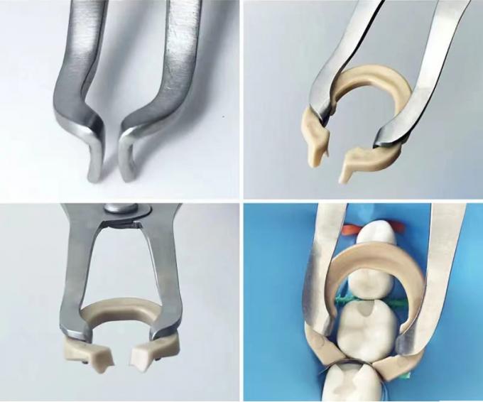 Dental Sectional Matrix System F2 Autoclavable includes Sectional Matrix Bands M2 + Resin Clamping Ring R3 5
