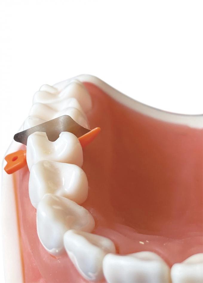 Dental Sectional Matrix System Wedge Guards M3 3.0 1