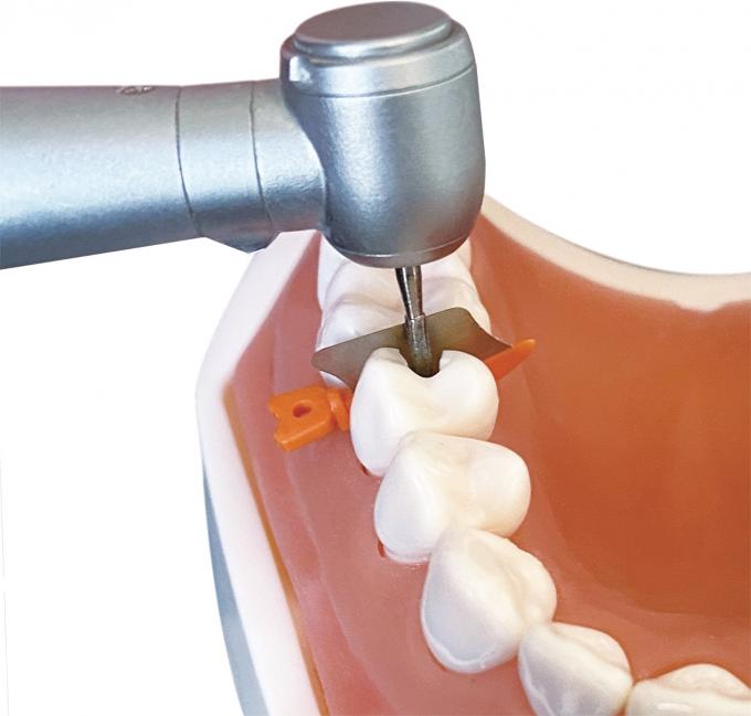 Dental Sectional Matrix System Wedge Guards M3 3.0 2