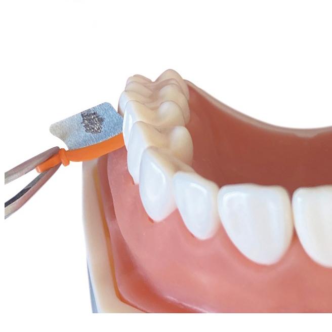 Dental Sectional Matrix System Wedge Guards M3 3.0 3