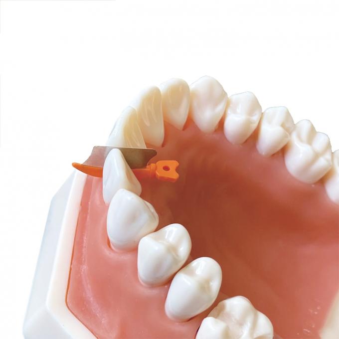 Dental Sectional Matrix System Wedge Guards M3 3.0 4