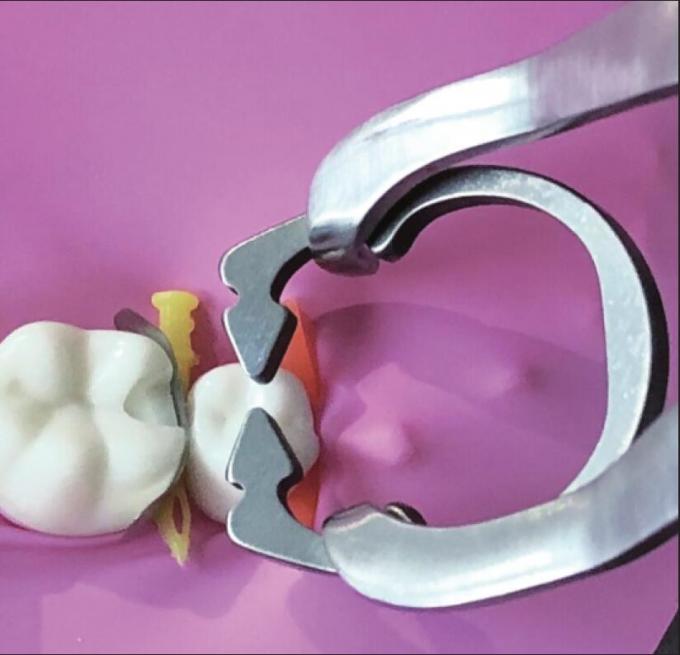 Dental Sectional Matrix System Clamp Ring R1 1