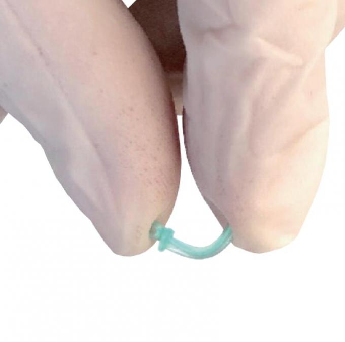 Anterior Teeth Dental Sectional Matrix System Plastic Interdental Resin Wedges W2 1.0 1