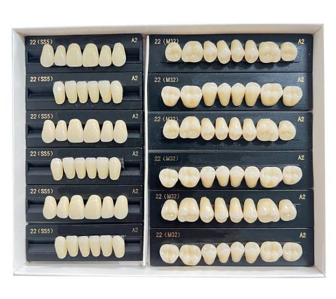 High Flexibility Composite Dental Acrylic Resin Teeth Standard Size 0
