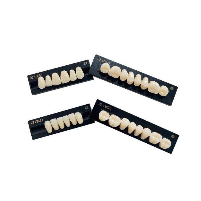 High Flexibility Composite Dental Acrylic Resin Teeth Standard Size 1