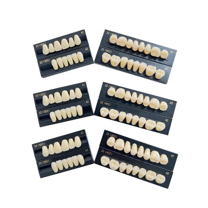 High Flexibility Composite Dental Acrylic Resin Teeth Standard Size 2