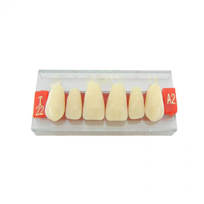 3 Layers Acrylic Resin Composite Teeth Denture Standard Size VITA Shade 0