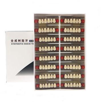 Easy to Use Dental Acrylic Resin Teeth with High Stain Resistance 0