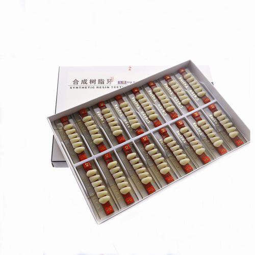 High Durability Acrylic Resin Composite Dental Teeth 1