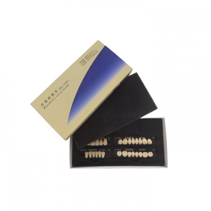 High Strength Dental Acrylic Resin Teeth Compatible With VITA System 1