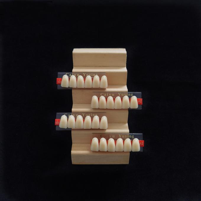 Stain Resistance Dental Artificial Teeth Acrylic Resin Incisor 2x1 Manufacturer CE ISO Composite Dentadura 0