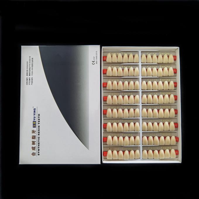 Stain Resistance Dental Artificial Teeth Acrylic Resin Incisor 2x1 Manufacturer CE ISO Composite Dentadura 2