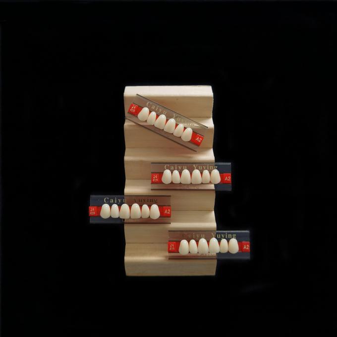 CE ISO Heraeus Dental Acrylic Resin Teeth Composite Dentadura Anteriors Upper (6x1)x16 High Strength Teeth Form 1 0