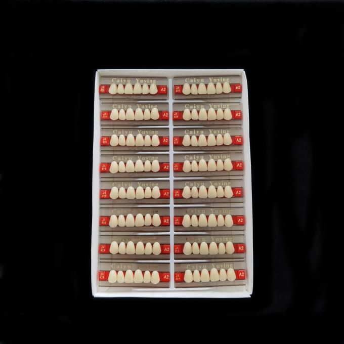 CE ISO Heraeus Dental Acrylic Resin Teeth Composite Dentadura Anteriors Upper (6x1)x16 High Strength Teeth Form 1 1