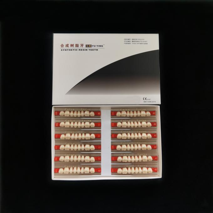 Acrylic Resin Teeth Posteriors Upper (8x1)x12 High Wear Resistance Composite Dentadura CE ISO Manufacturer 2