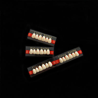 Acrylic Resin Denture Teeth Set Repair Surfaces 2 Layers Super Hard Synthetic Dental Teeth