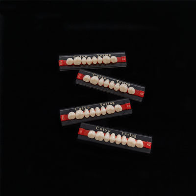 Acrylic Resin Denture Teeth Set Repair Surfaces 2 Layers Super Hard Synthetic Dental Teeth