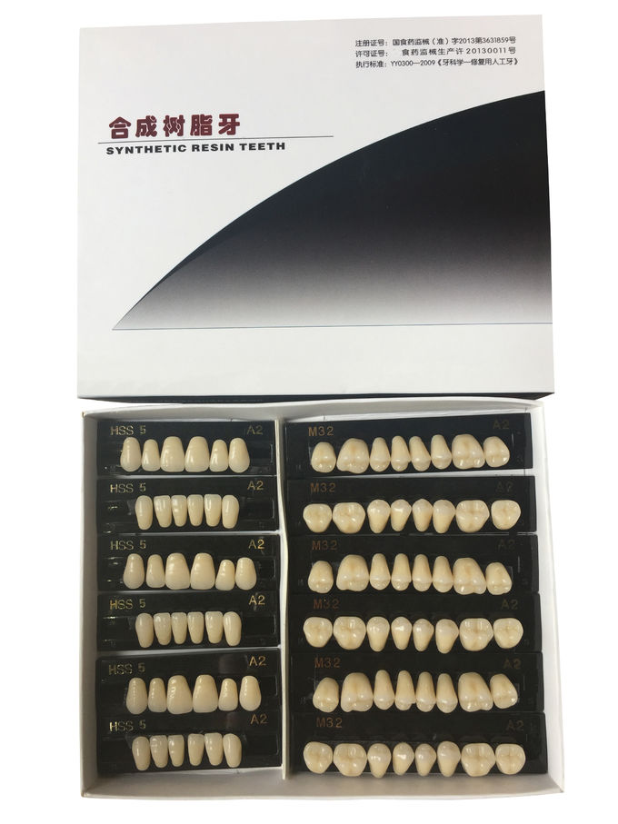 High Strength Artificial Dental Acrylic Resin Teeth With High Biocompatibility 5