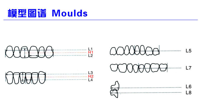 High Strength Artificial Dental Acrylic Resin Teeth With High Biocompatibility 2