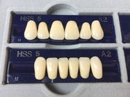 Dentistry Dental Acrylic Resin Teeth A2 A3.5 Dental Acrylic Polymer False Teeth