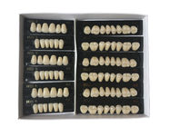 Whitening Composite Resin Teeth For Denture Kit Super Hard 2 Layers