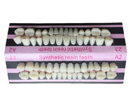 Repair Dental Acrylic Resin Teeth Material In Dentistry Single Layer