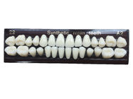 Material Dental Acrylic Resin Teeth Tooth Colored Acrylic Resin Teeth For Dentures