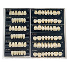 High Stain Resistance Artificial Acrylic Teeth Made Of Acrylic Resin Composite
