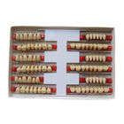 3 Layers Acrylic Resin Composite Teeth Denture Standard Size VITA Shade