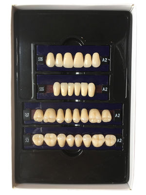 Dental Synthetic Resin Teeth Materials Multi Layers Composite False Teeth HSS3 HC3 M32