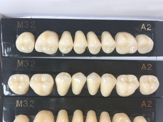 Whitening Composite Resin Teeth For Denture Kit Super Hard 2 Layers