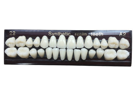 Material Dental Acrylic Resin Teeth Tooth Colored Acrylic Resin Teeth For Dentures