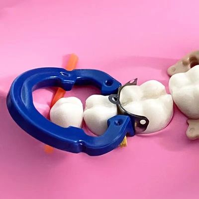 ZT Dental Sectional Matrix System Bands F3 Autoclavable M4 2pcs Clip Ring
