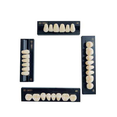 High Stain Resistance Artificial Acrylic Teeth Made Of Acrylic Resin Composite