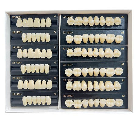 High Flexibility Composite Dental Acrylic Resin Teeth Standard Size