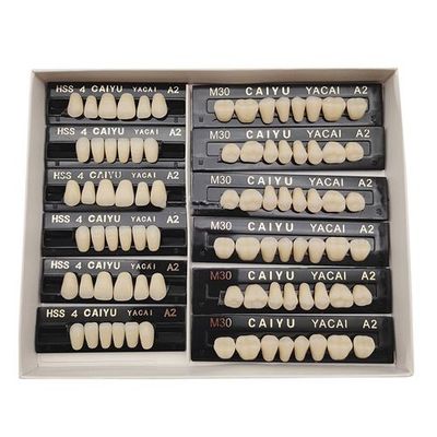 High Durability Acrylic Resin Composite Dental Teeth