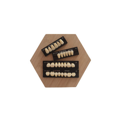 High Strength Dental Acrylic Resin Teeth Compatible With VITA System