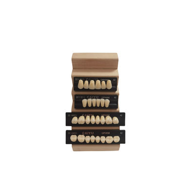 High Strength Dental Acrylic Resin Teeth Compatible With VITA System