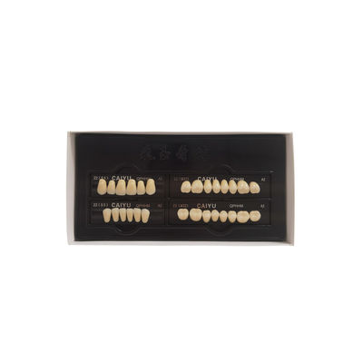 High Strength Dental Acrylic Resin Teeth Compatible With VITA System